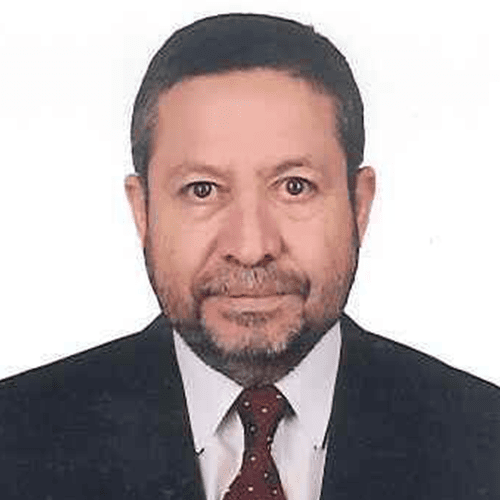Semih Ergür - IC Holding - CEO